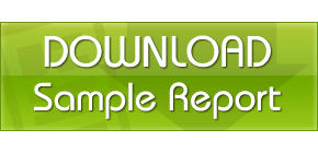download a sample inspection report